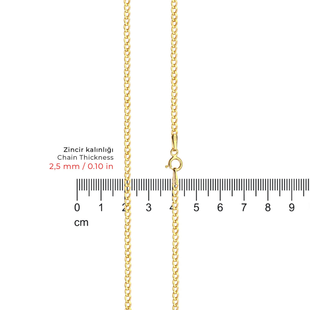 Gourmette Chain Necklace Solid Gold