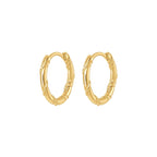 Twisted Rope Hoop Earrings Solid Gold