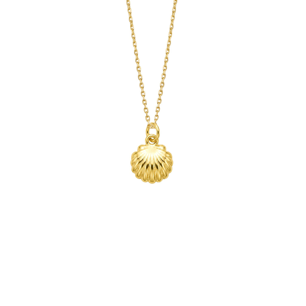 Mini Seashell Necklace Solid Gold
