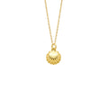 Mini Seashell Necklace Solid Gold