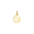 Capricorn Zodiac Charm Solid Gold