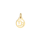 Capricorn Zodiac Charm Solid Gold
