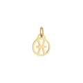 Pisces Zodiac Charm Solid Gold