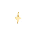 North Star Plate Charm Solid Gold