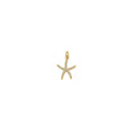 Starfish Charm Solid Gold